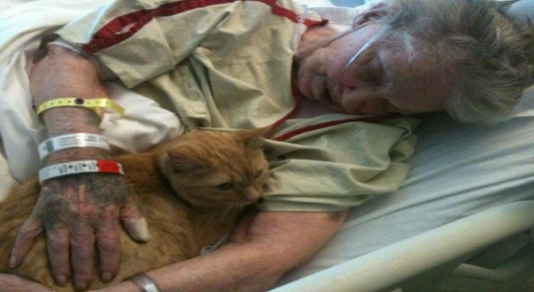 Unconditional Love! Dying GrandMother Last Goodbye Wish to spend time with her Cat!