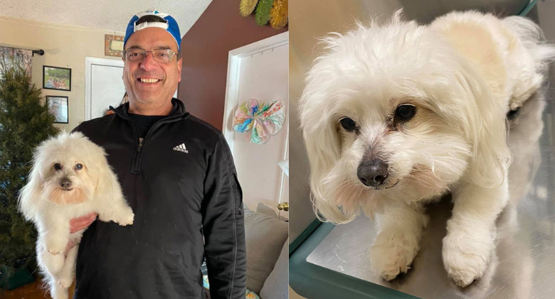 "He Only Had One Job!": Husband Visits Groomers and Returns With The Wrong Dog