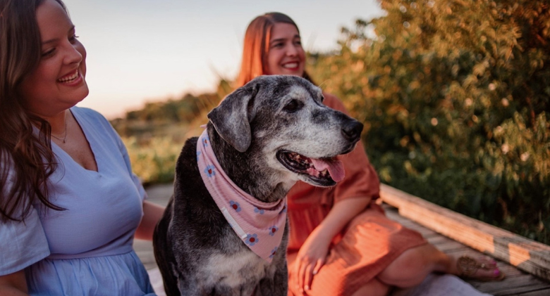 A 19-year-old dog was surrendered to a shelter in Dallas, She was taken in by her dearest buddies