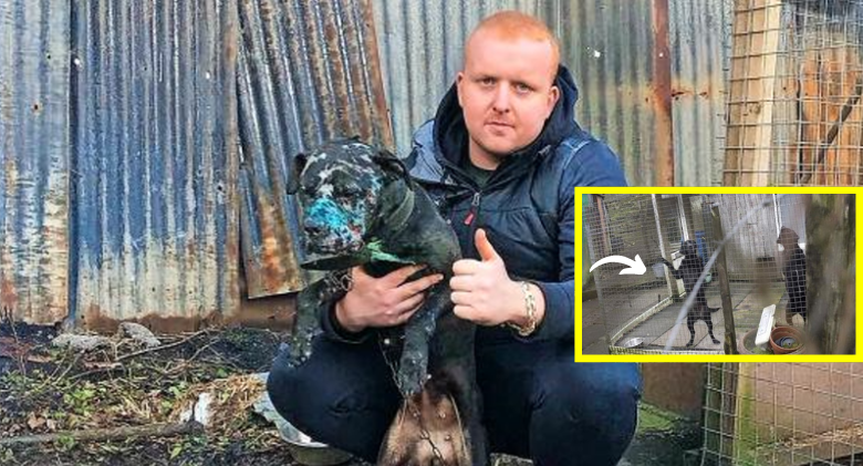 A convicted animal abuser has been identified as a key figure in Scotland's nasty dog fighting cult