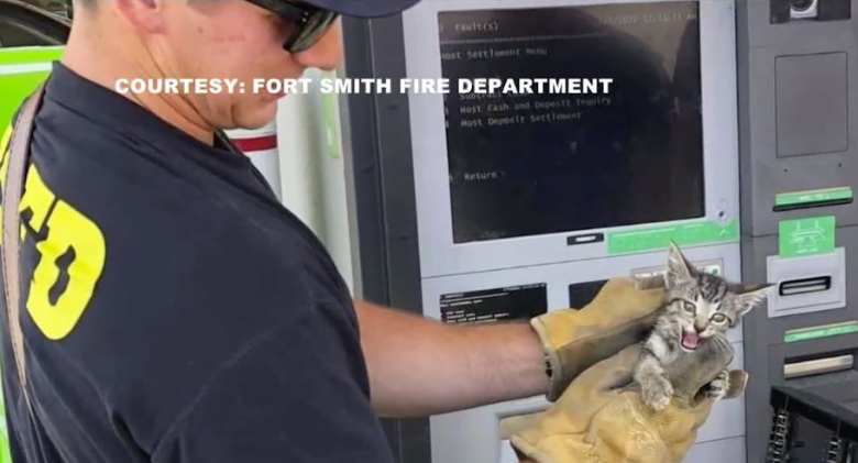 A kitten trapped in an ATM is saved by firefighters, and his new name is Cash