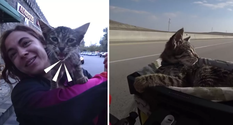 A stray kitten is picked up by two girls on a long bike ride