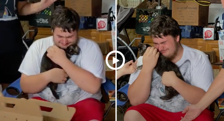 A teenager who lost his cat sobs uncontrollably in happiness, surprised with A new kitten