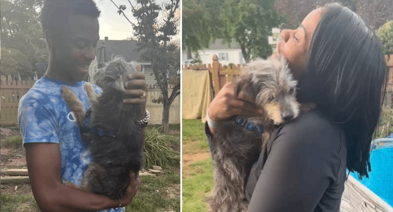 After being missing for 5 years, a small dog jumps into his mother's arms