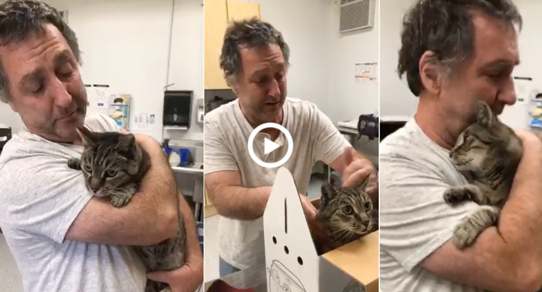 After going missing for seven years, a man is reunited with his 19-year-old cat