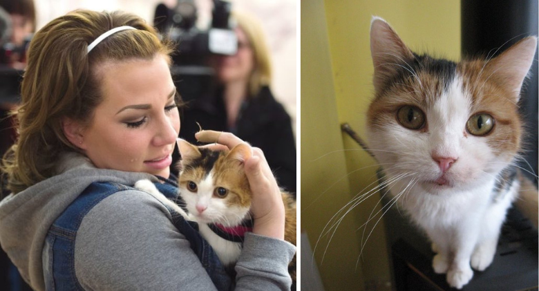 After six years, Cleo the Calico Cat was reunited with her human mother