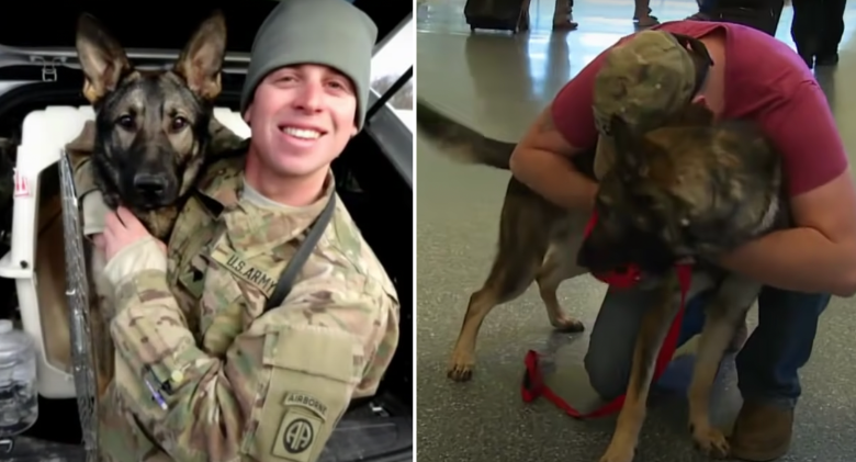Army Dog Runs Into Soldier He Hasn't Seen in Three Years' Arms