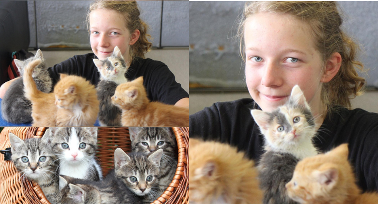 Aussie Teenage Girl Saves 14 abandoned kittens with Birthday Money !