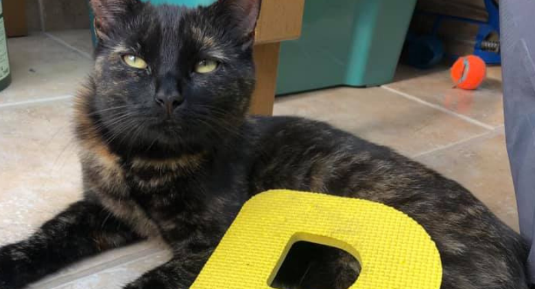 British Cat Burglar's Family Looks For Owners Of Priceless Loot