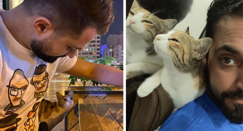 Cat follows man from café home and decides he is now her father