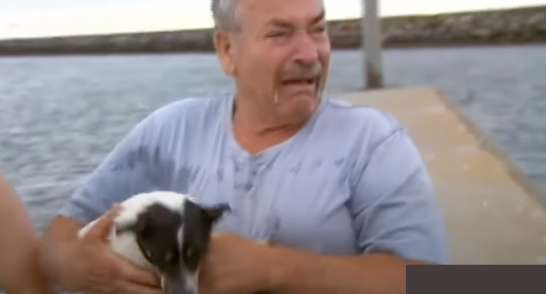 Courageous Terrier Reunites With Very Emotional Dog Daddy After Being Lost at Sea