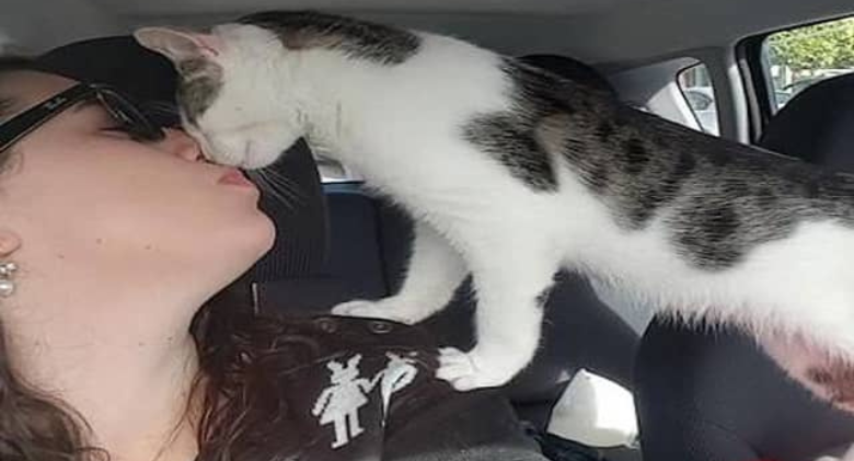 Cute Cat Rescued From Death Row Hours Before It Was Put to Death. See How Content He Is Right Now!