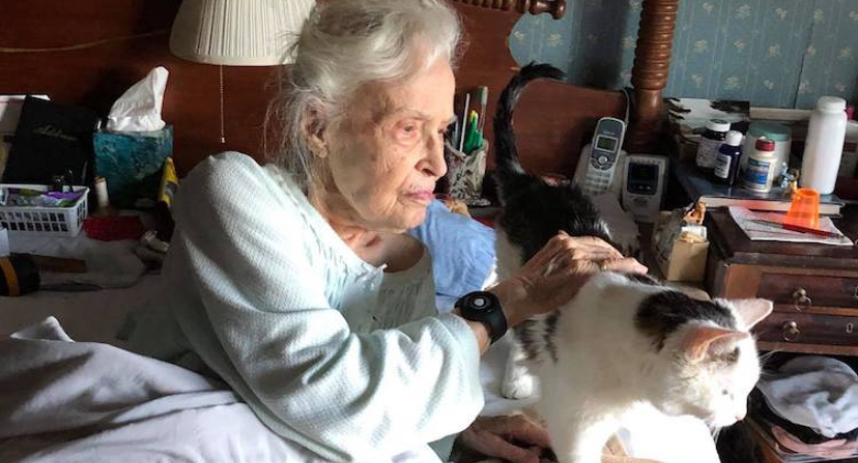 Dedicated Cat Refuses to Leave Grandma Who Raised Her's Dying Bedside