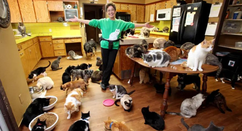 Discover The "Crazy Cat Lady," Who Lives With 1,100 Cats