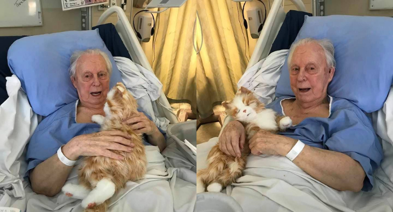 Family Gifts Robotic Cat To Their Dad Suffering From Dementia