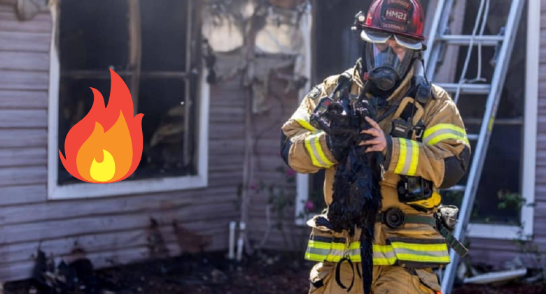 Heartwarming Firefighter's Smiling After Saving Family Cat