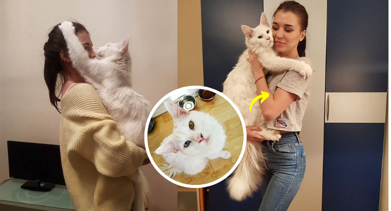 Kitty Develops Hugging His Human Daily and Won't Stop Even When He Grows To Be A GIANT