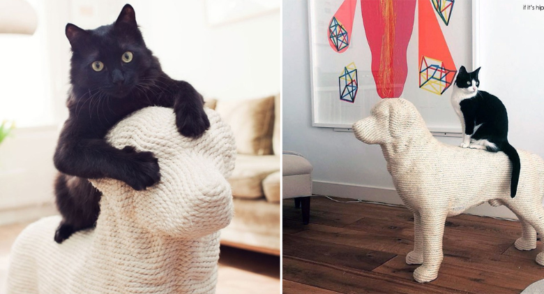 Now that the dog-shaped scratching post is available, all cats are enamoured with it