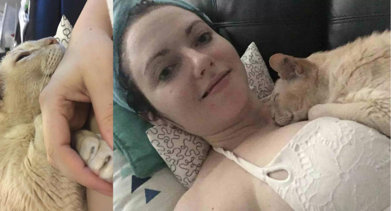 Older cat from a shelter can't sleep unless his new mother holds his paw