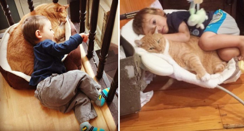 Once unwanted ginger cat becomes boy's lifelong guardian!