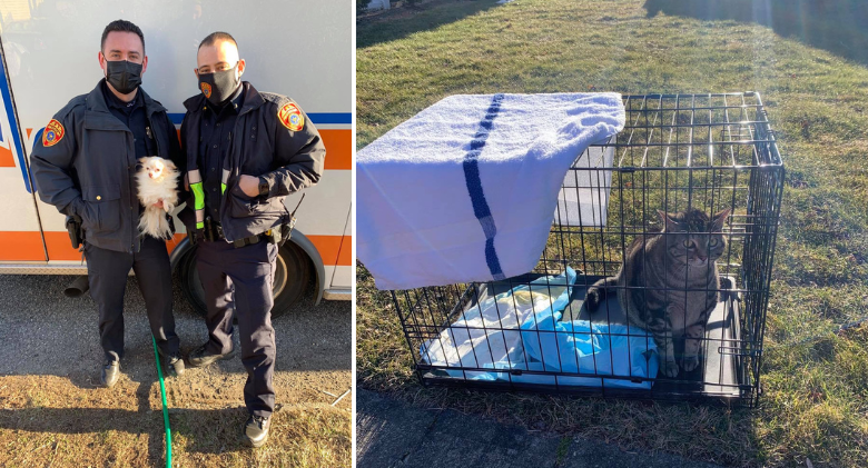 Policemen put their lives at danger to save a dog and a cat from a fire