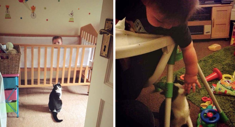 Pregnant Woman Saves Strays Kitten, Bonds with Her Son