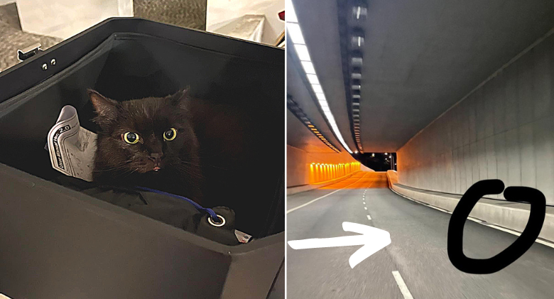 Saving "Toothless the Dragon" Cat From Tunnel by Motorcycle