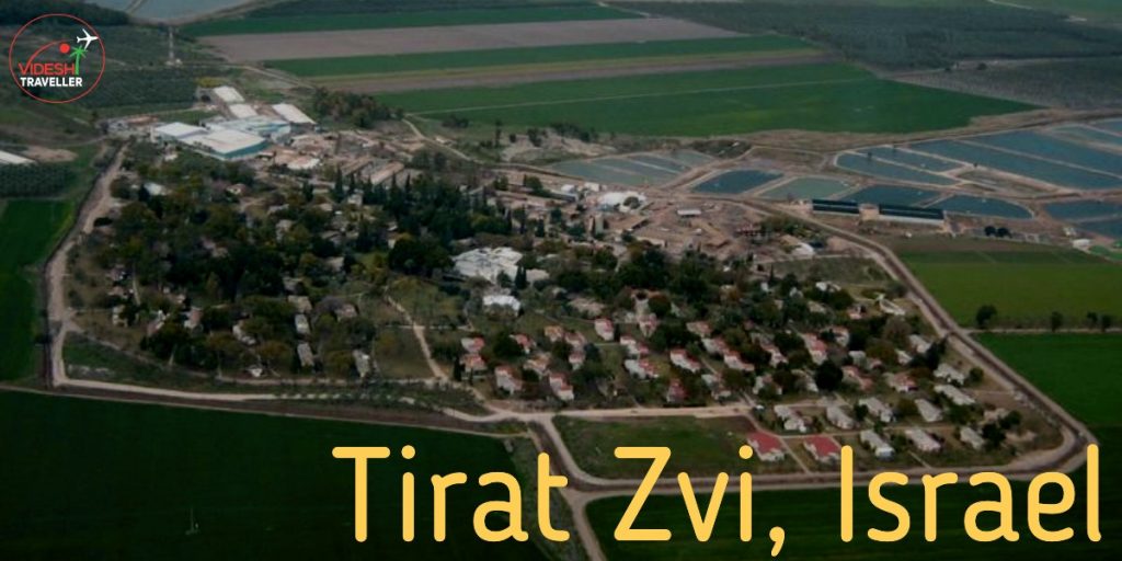 Tirat Zvi 