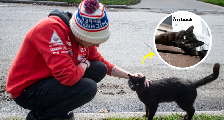 Unbelievable!! After a heartbreaking funeral, a 'dead' cat somehow makes it home alive