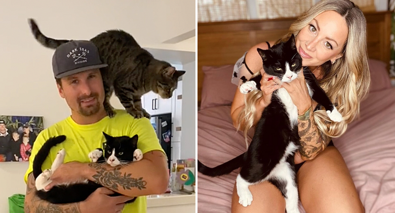 When Cat Dad gets home from work, rescued Tabby jumps onto his shoulder