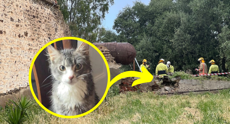 Woman rescued in Gawler West after getting stuck in well, attempting to save a pet cat
