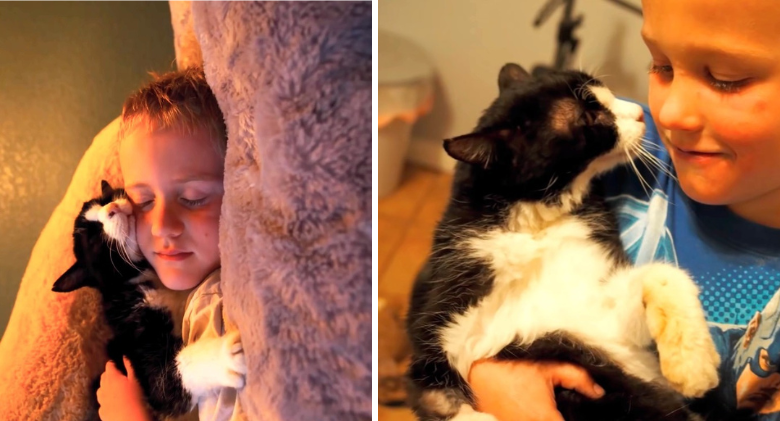 a family got a 20-year-old cat from a shelter, precious kitty story of love