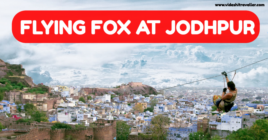 flying fox at jodhpur with videshitraveller