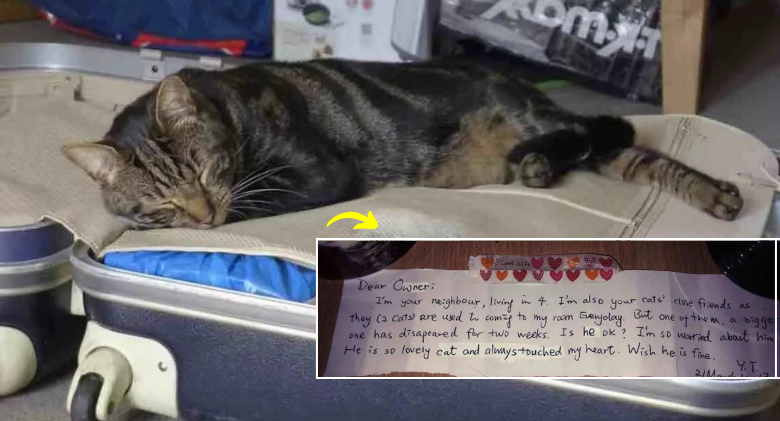 heartbroken-a-touching-letter-was-sent-to-this-couple-following-the-death-of-their-cat